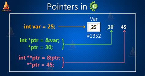 how to print pointer address in c and why pointers are the heart of dynamic memory allocation